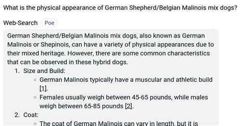belgian malinois vs german shepherd shedding